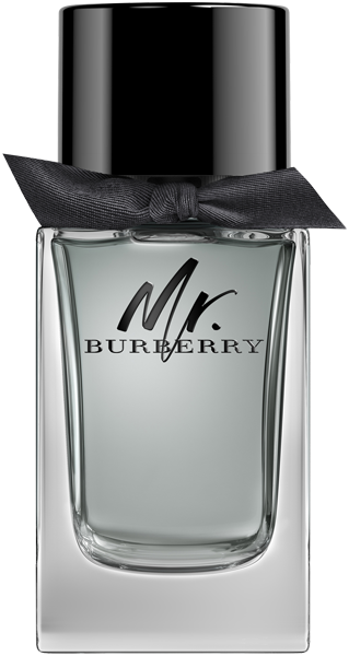 Burberry Mr. Burberry EdT
