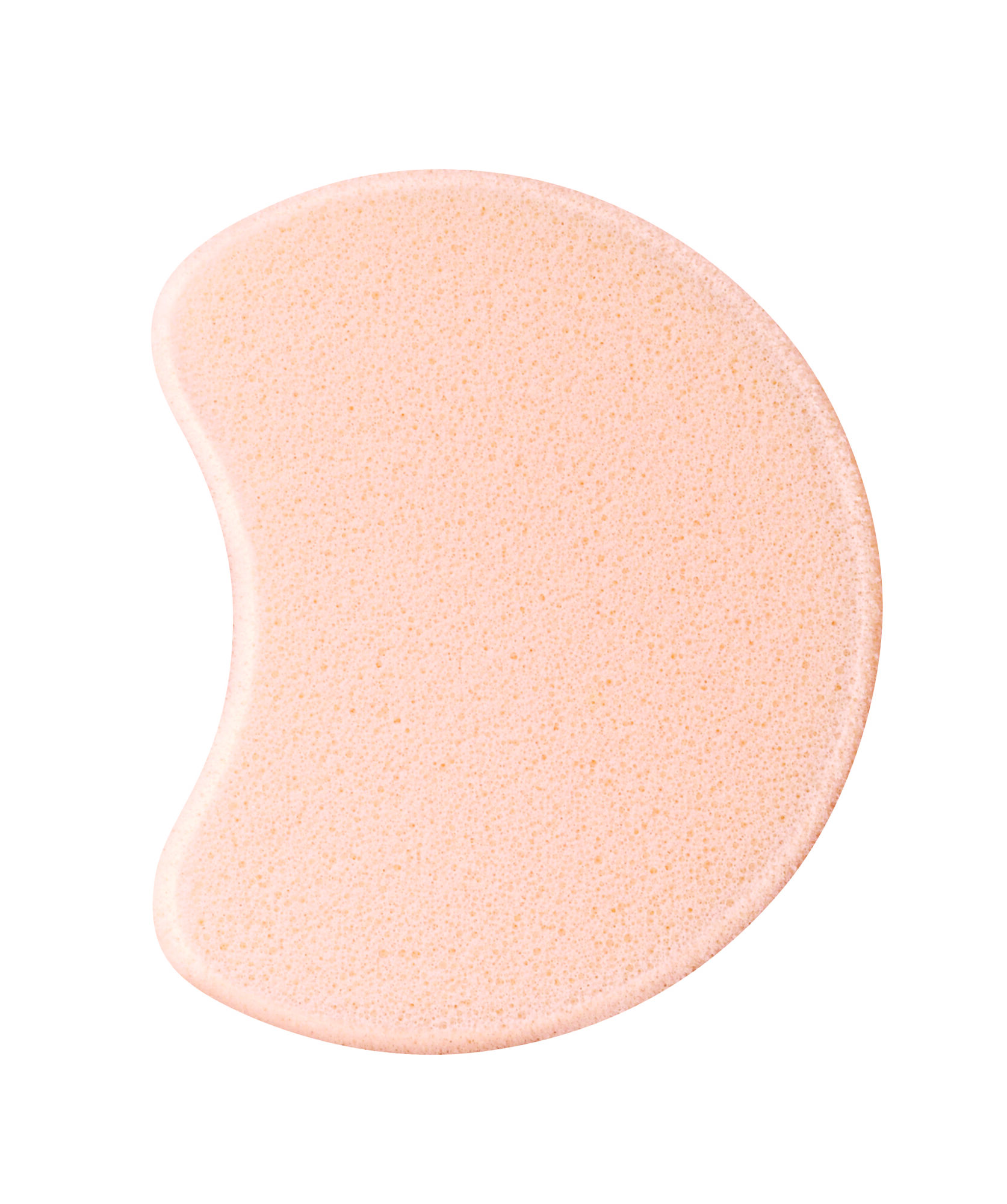 SENSAI FOUNDATIONS FOUNDATION SPONGE