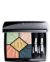 5 COULEURS LIDSCHATTEN PALETTE