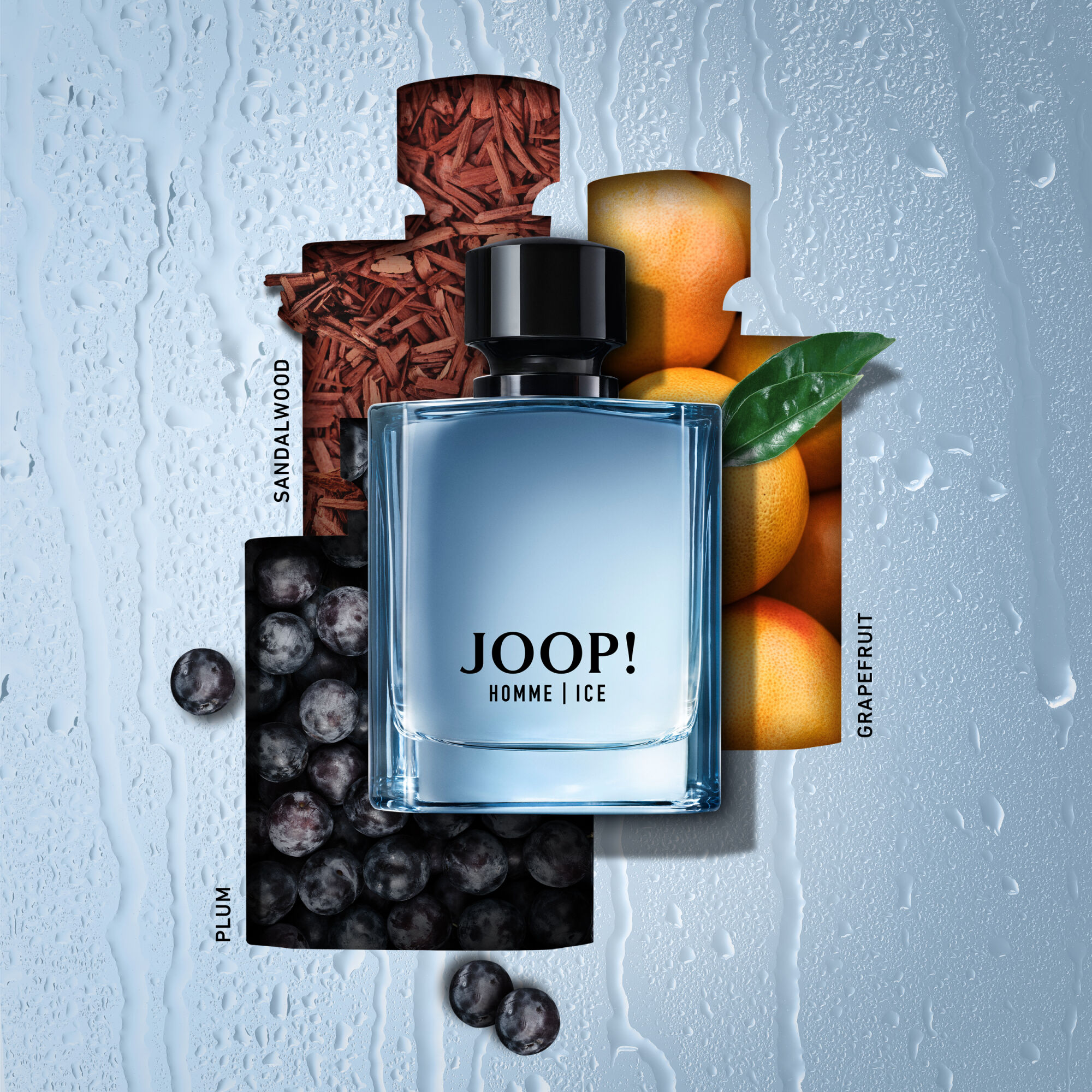 Joop! Homme Ice