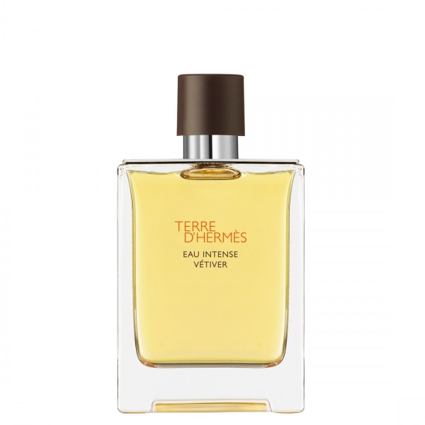 Hermès Terre d'Hermès Eau Intense Vetiver Eau de Parfum Spray